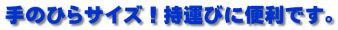 手のひらサイズ!持運びに便利です。